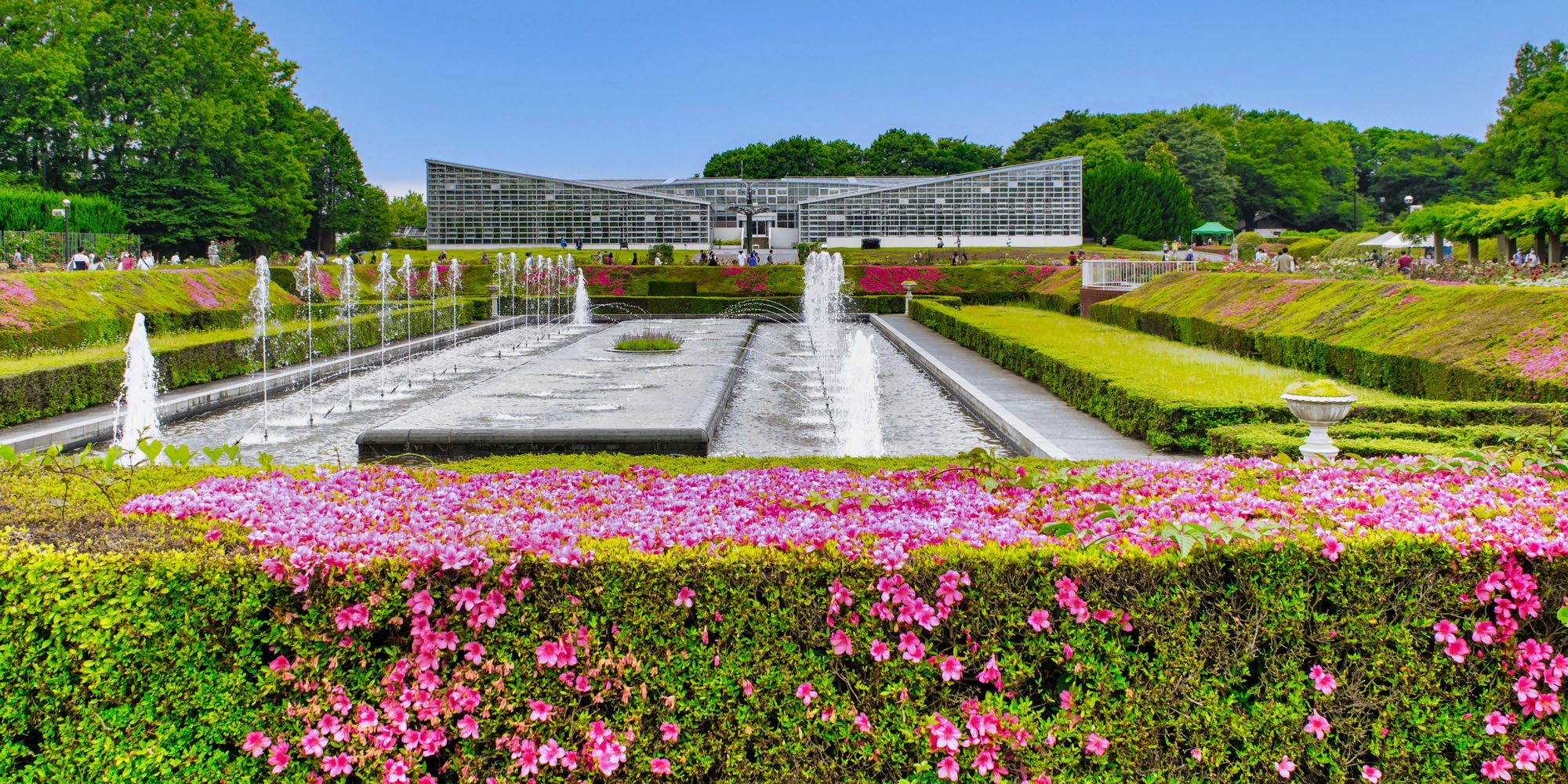 🌳 진다이 식물공원(진다이 쇼쿠부츠 코엔) 이미지 5